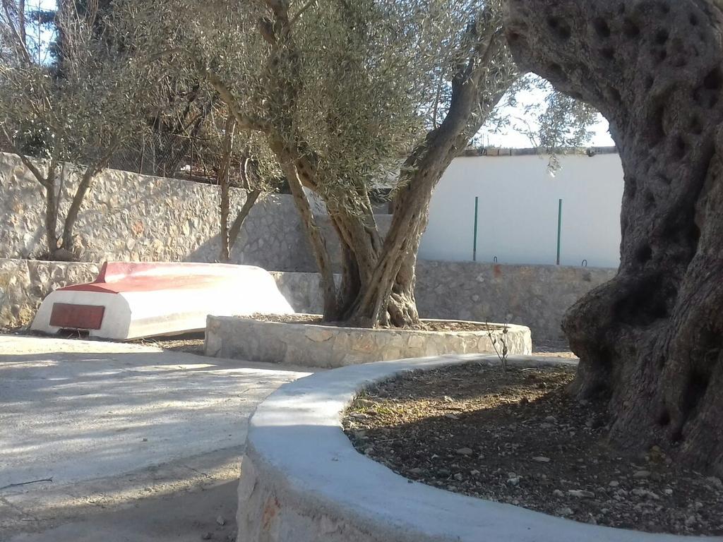 דוברה וודה Apartman Nikocevic מראה חיצוני תמונה