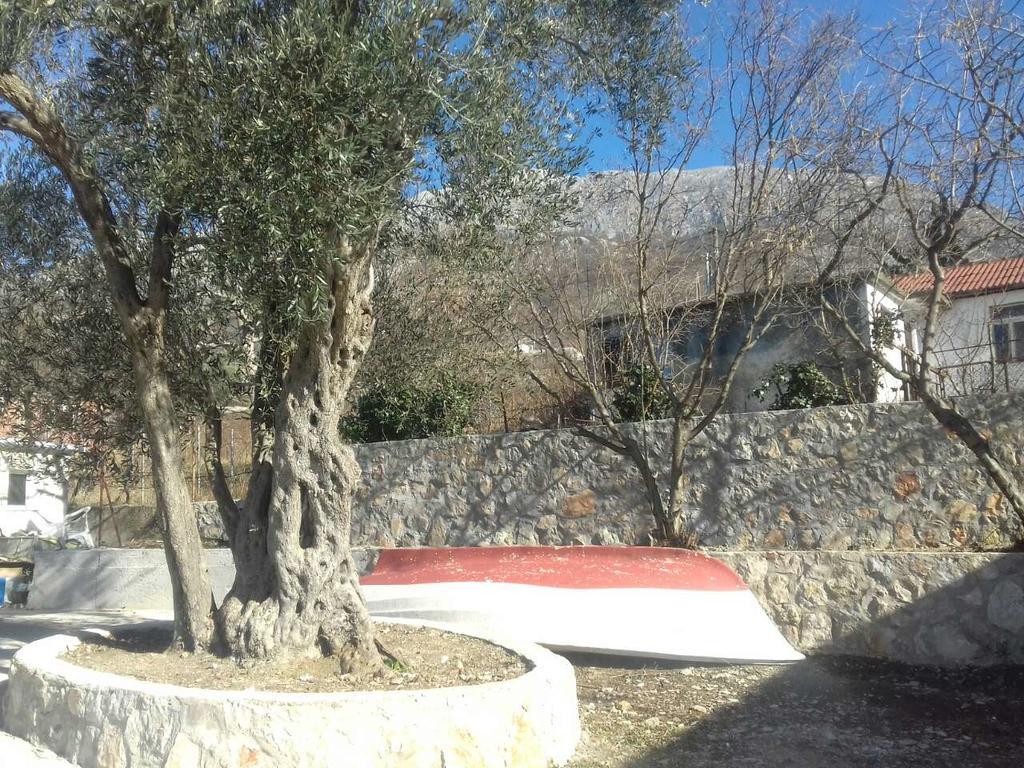 דוברה וודה Apartman Nikocevic מראה חיצוני תמונה