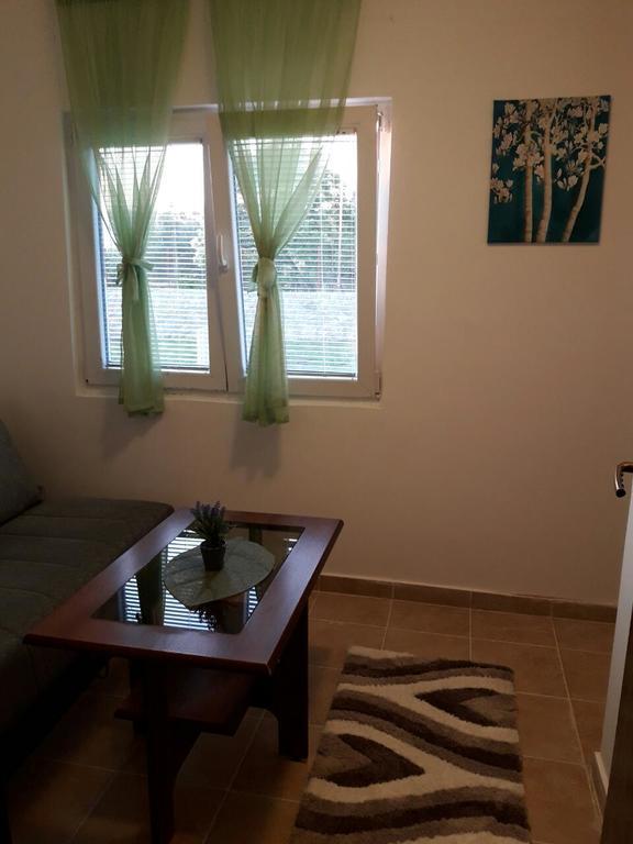 דוברה וודה Apartman Nikocevic מראה חיצוני תמונה