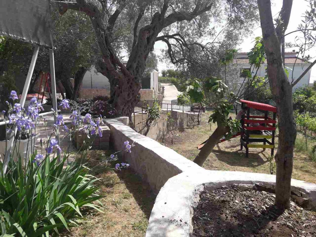 דוברה וודה Apartman Nikocevic מראה חיצוני תמונה