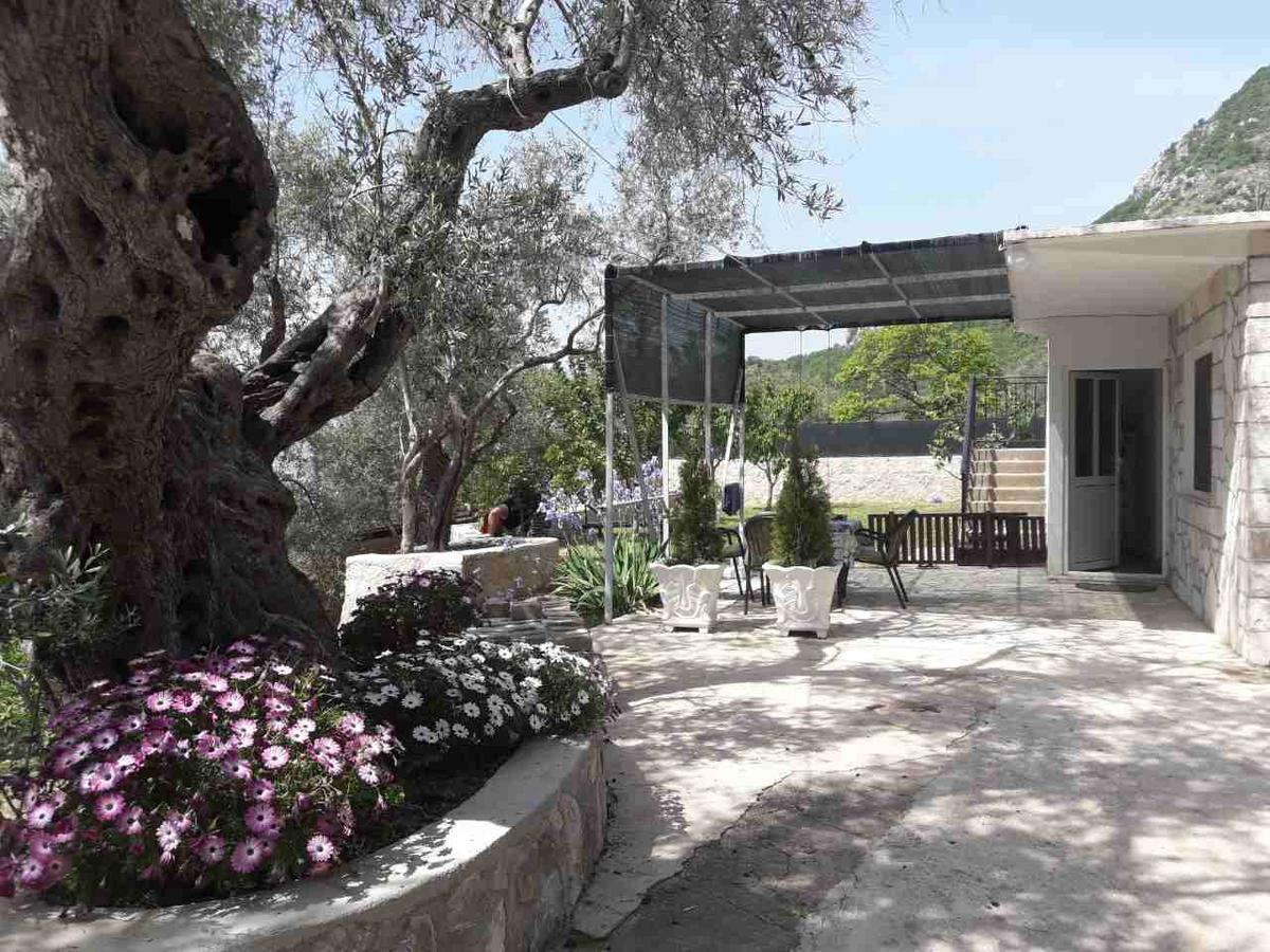 דוברה וודה Apartman Nikocevic מראה חיצוני תמונה