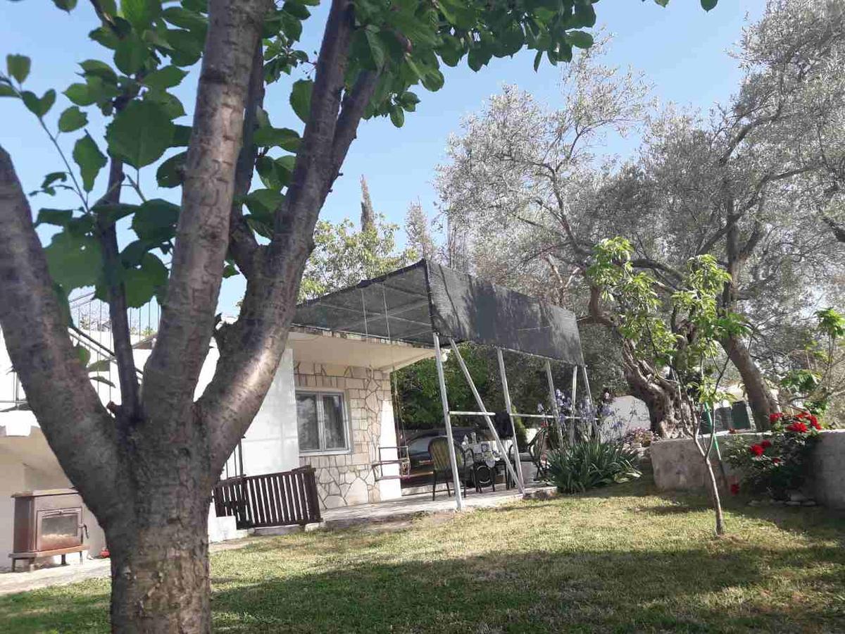 דוברה וודה Apartman Nikocevic מראה חיצוני תמונה