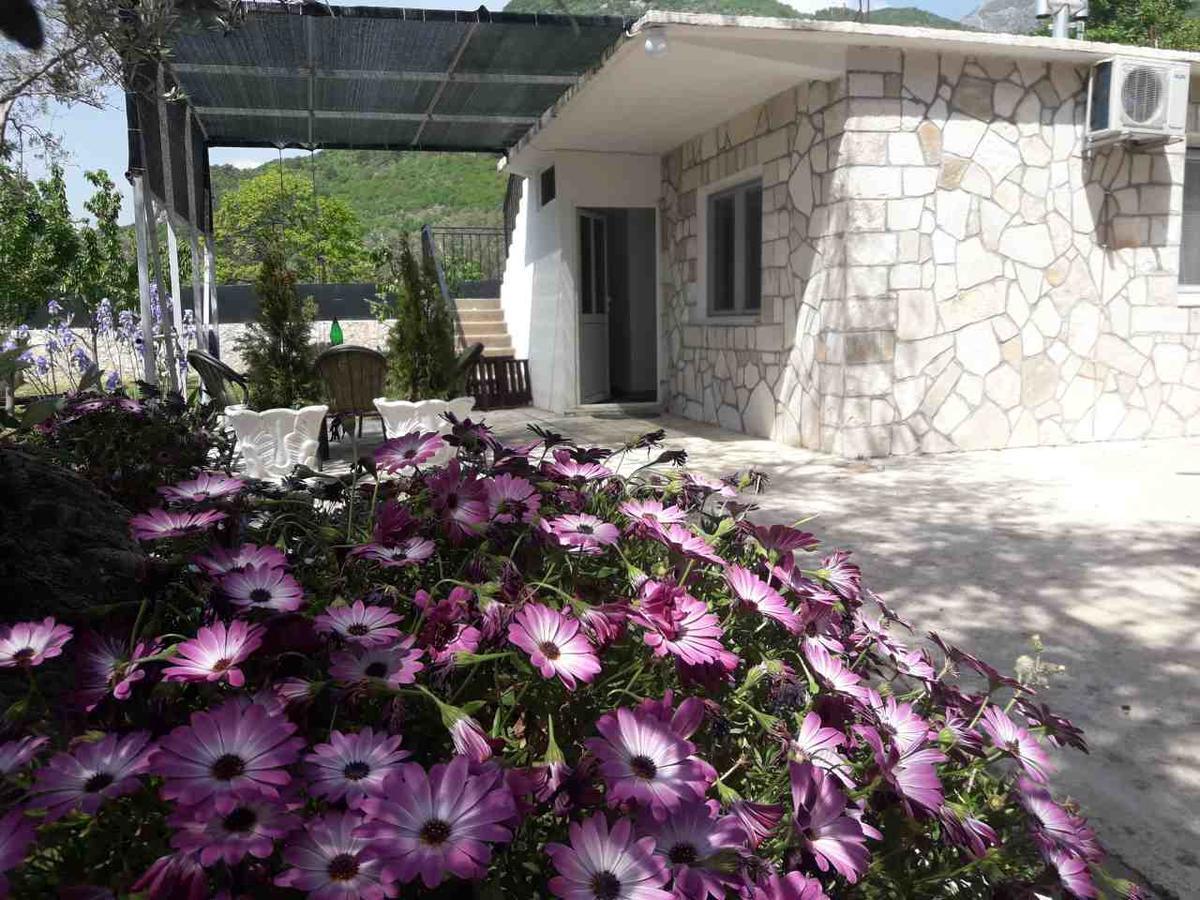דוברה וודה Apartman Nikocevic מראה חיצוני תמונה