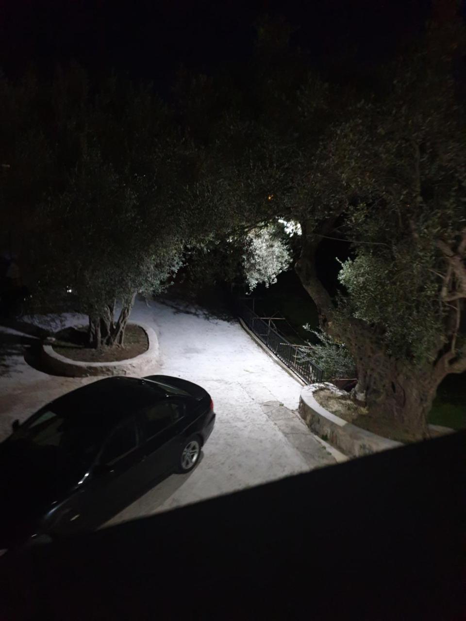 דוברה וודה Apartman Nikocevic מראה חיצוני תמונה
