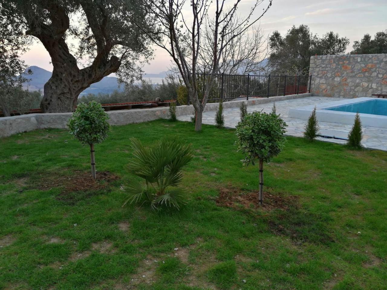 דוברה וודה Apartman Nikocevic מראה חיצוני תמונה